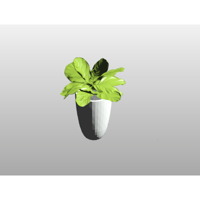 Indoor Plant 105