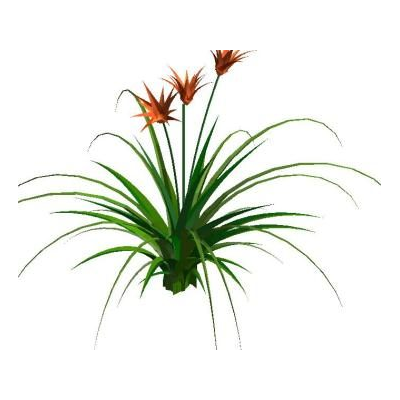 3D bush with realistic lush foliage 5 Greening 3d