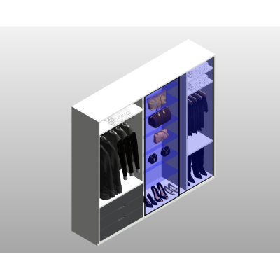 Wardrobe with Mirror
