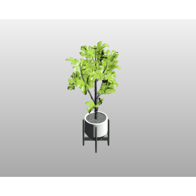 Tall Potted Plant