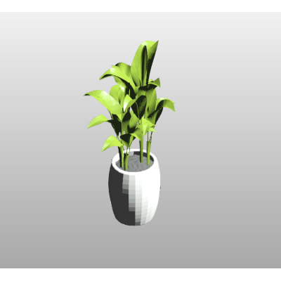 Indoor Plant 106