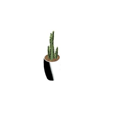 Plant Pot with Spines