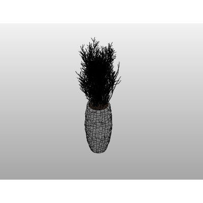 Potted Plant