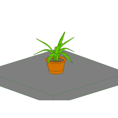 Potted Plant
