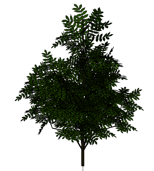 3D Tree - Acacia 8161