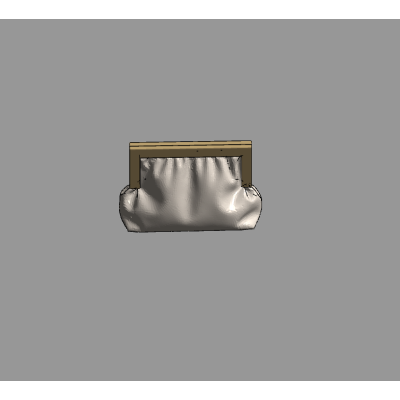 Elegant Clutch Model