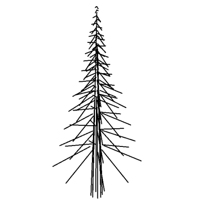 Tree - Pine