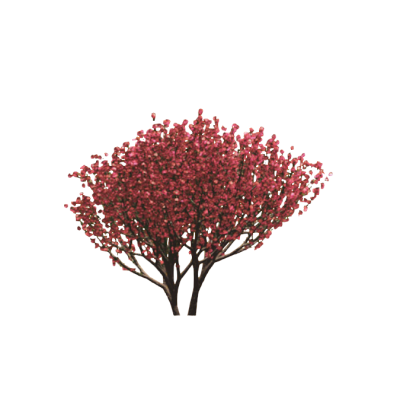 3D bush with realistic lush foliage 3 2D Shrub