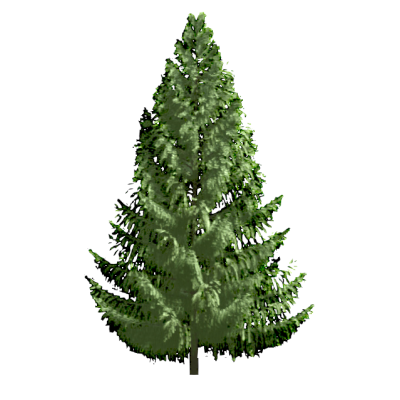 RPC Tree - Conifer