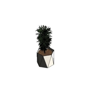 Geometric Vase with Plant