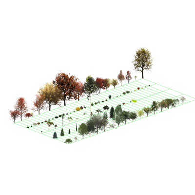 Diverse Tree and Shrub Collection