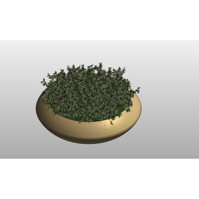 Elegant Monstera Plant in Decorative Vase