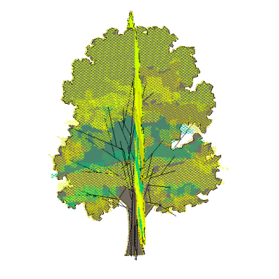 ADVANCED 3D2D TRESS 2789