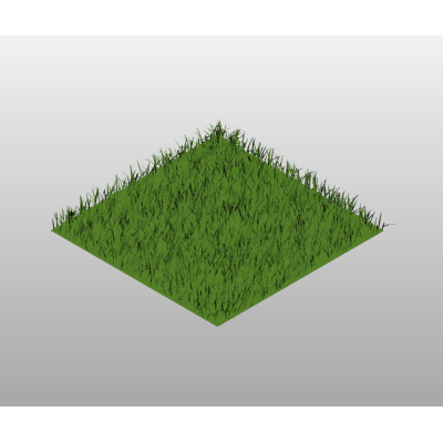 Lawn Patch