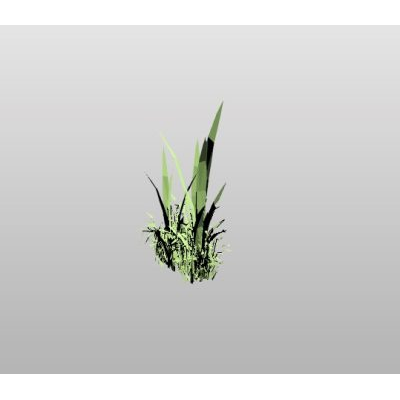 Tall Grass Plant