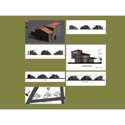 Slope revit housing