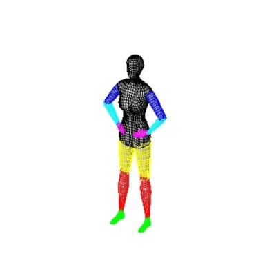 Human scale woman for revit.  woman