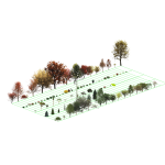 Diverse Tree and Shrub Collection