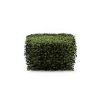 Bush