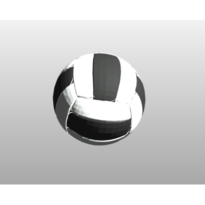 Standard Volleyball