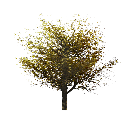 RPC Tree - Fall