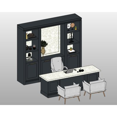 Executive home office with bookcase