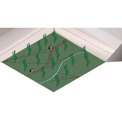 Cactus garden