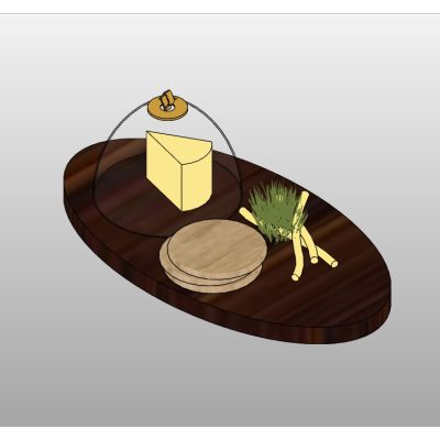 Oval tray with polished modern finish