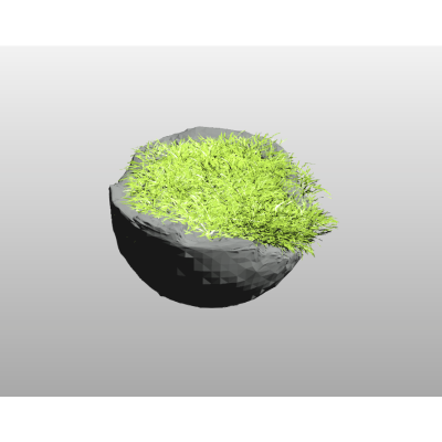 Bowl of Moss