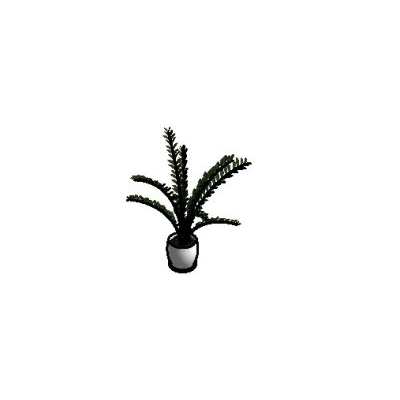 Small Potted Plant