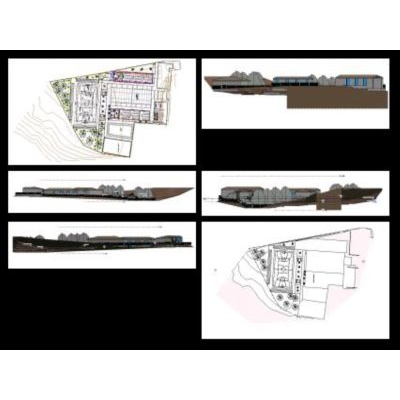 College revit