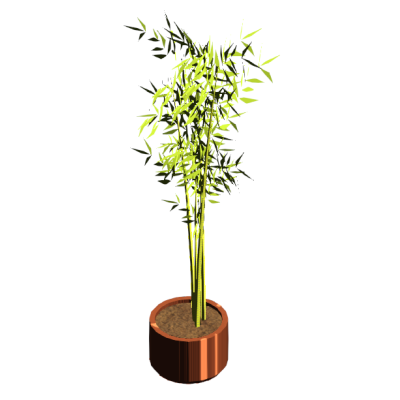 Potted Bamboo 10505