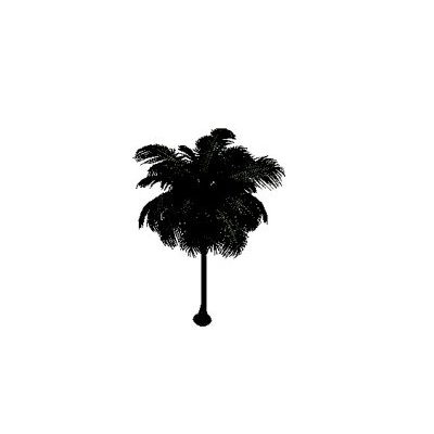 Palm Tree 01