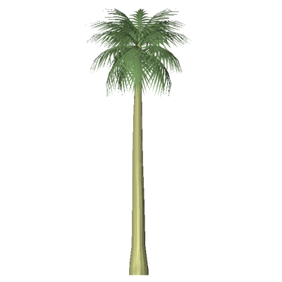 Palm tree modern minimalist 3D 7 a palm5 7609