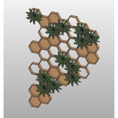 Hexagonal honeycomb shelf with plants