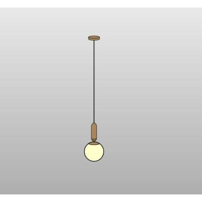 Single Globe Pendant Light