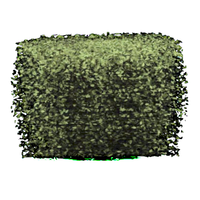 RPC Arbuste