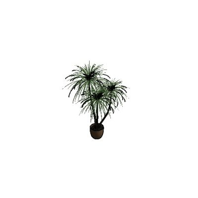 Potted palm plant with modern brown pot