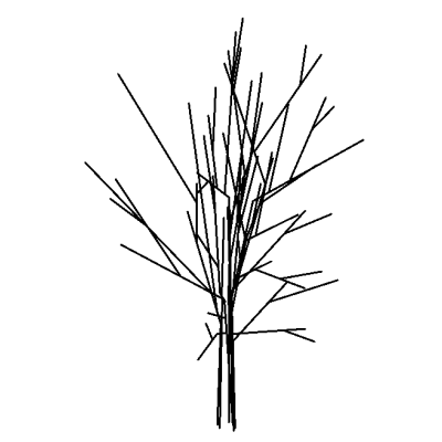 Tree - Fruit