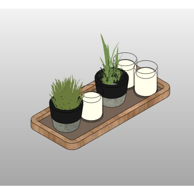 Decorative Tray with Plants and Candles