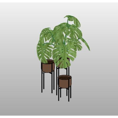 Tall Palm Plant Set