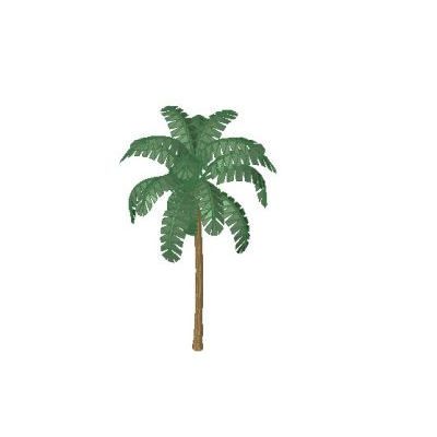 Deciduous Tree