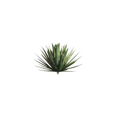 2D Potted Plant