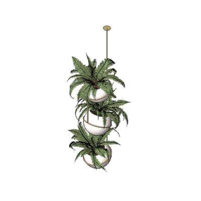 Hanging Green Oasis