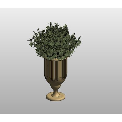 Contemporary Herb Plant in a Striped Vase