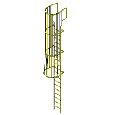 Ladder wiit cage