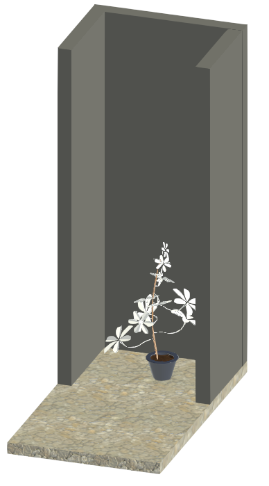 POTTED PLANT 10826