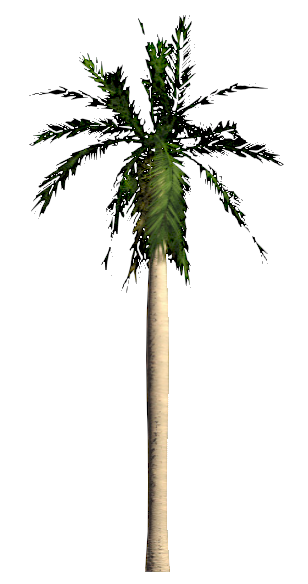RPC Tree - Tropical