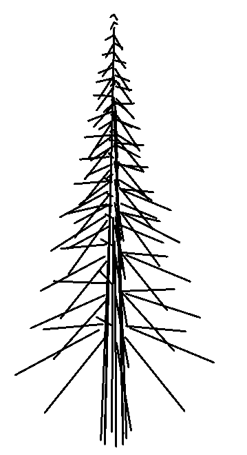 Tree - Pine