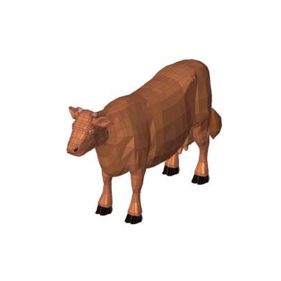 Cow - Vaca